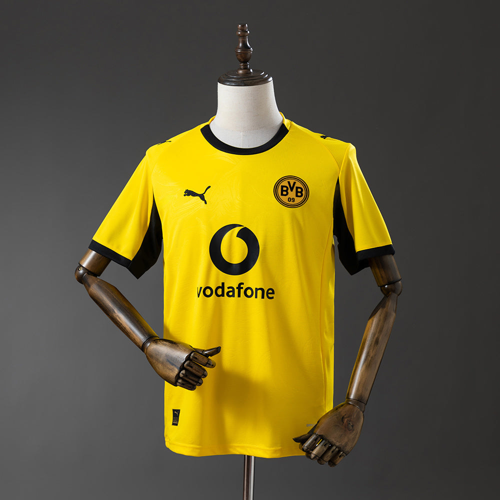 Dortmund third 25/26 version Fan