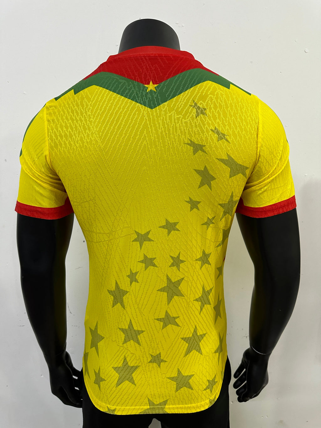 Burkina Faso extérieur 26/27 version Pro