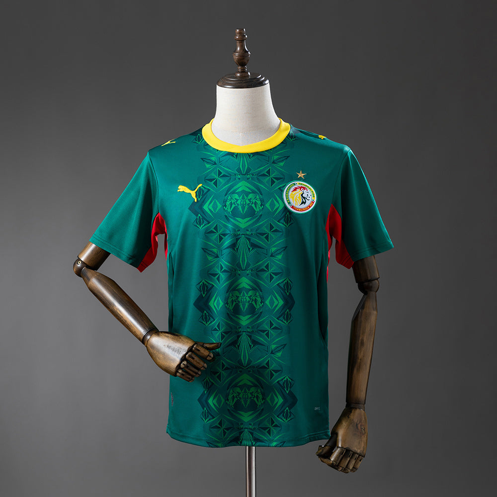 Sénégal domicile 26/27 version Fan